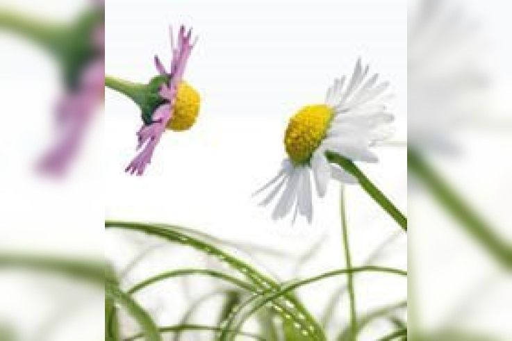 Naturally revient à la Porte de Versailles