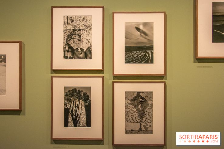 Expo Martine Franck à la Fondation Cartier-Bresson