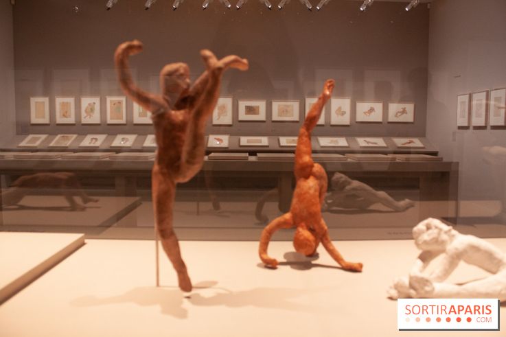 Rodin, dessiner, découper au musée Rodin