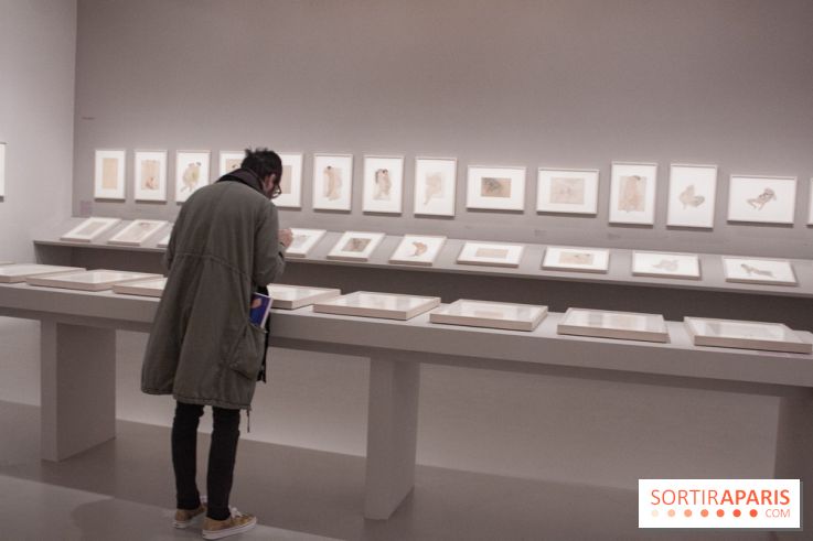 Rodin, dessiner, découper au musée Rodin