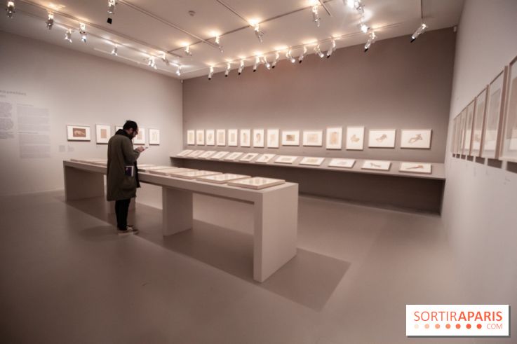 Rodin, dessiner, découper au musée Rodin