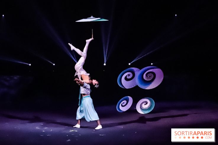 Le Roi des Singes au Cirque Phénix