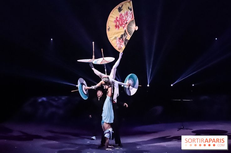 Le Roi des Singes au Cirque Phénix