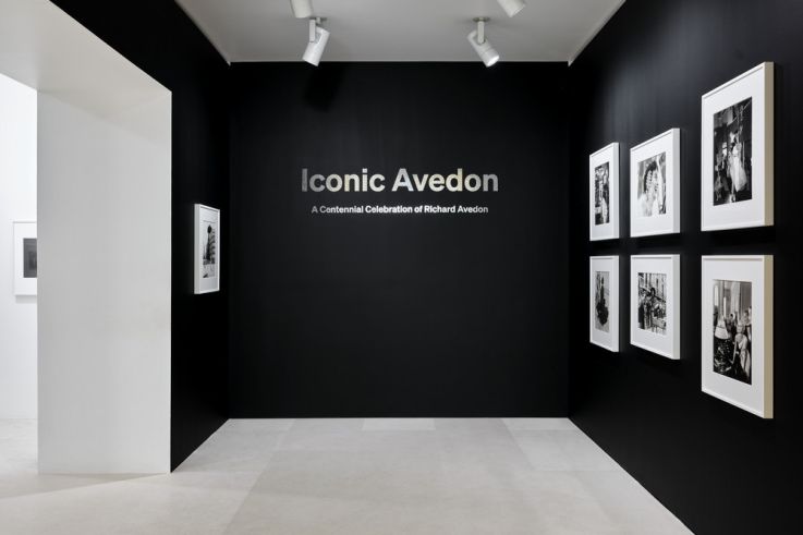 Expo Avedon