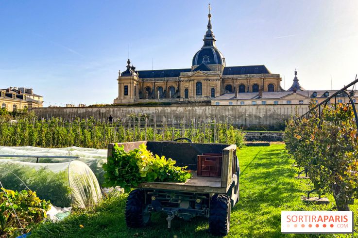 Les Saveurs du Potager du Roi à Versailles : marché de fruits & légumes, expositions et animations