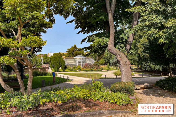 Color Run 2025 : course solidaire Conflans