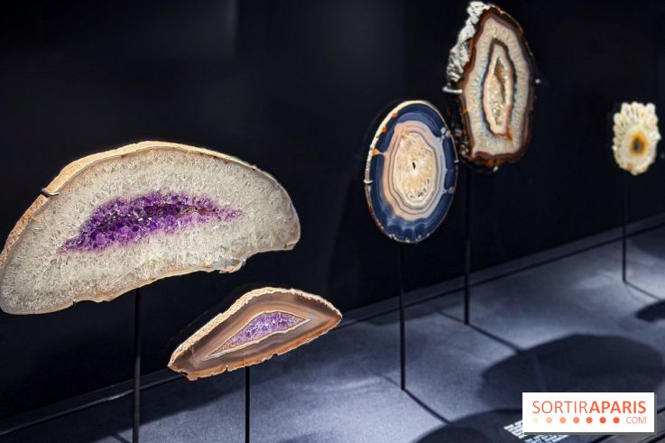 Rêveries de pierres : l'exposition rétrospective gratuite à l'Ecole des Arts Joailliers