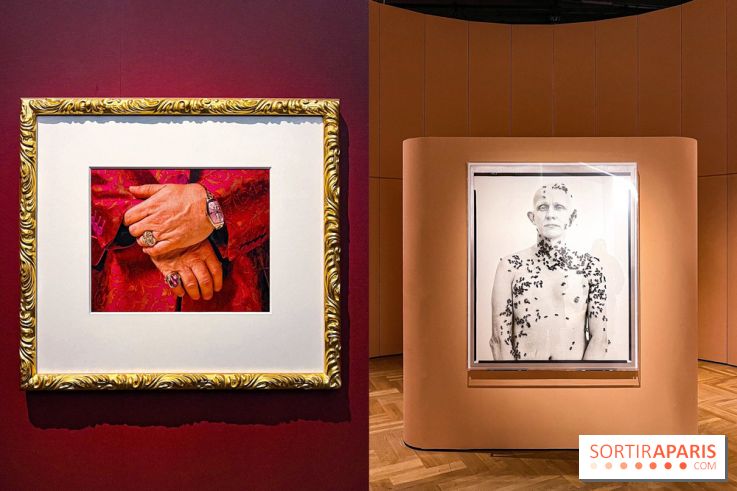 Fragiles beautés : la collection de photos d'Elton John exposée au Jeu de Paume