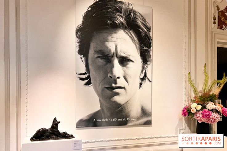 L'exposition gratuite de la collection des chefs-d'œuvres d'Alain Delon à Paris