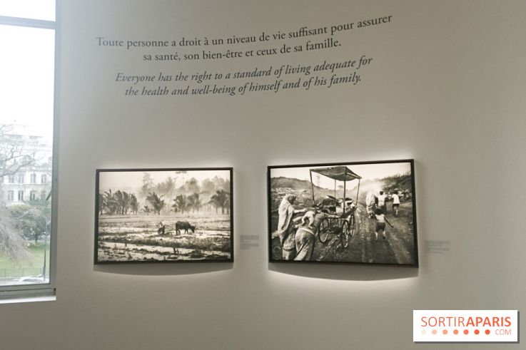 Sebastiao Salgado, l'expo photo au Musée de l'Homme