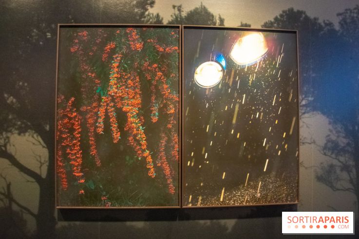 Hit The Road, l'exposition au Leica Store