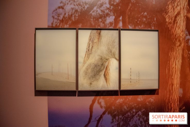 Hit The Road, l'exposition au Leica Store