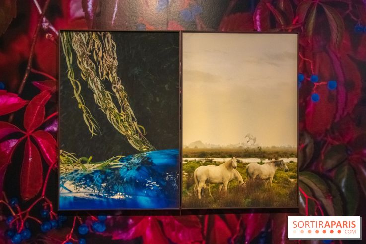 Hit The Road, l'exposition au Leica Store