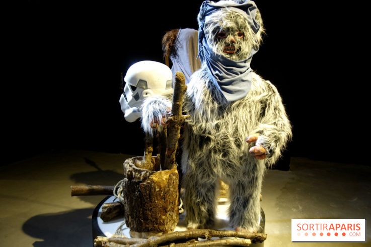 Album photos : Exposition Star Wars à Paris , Les fans contre attaquent