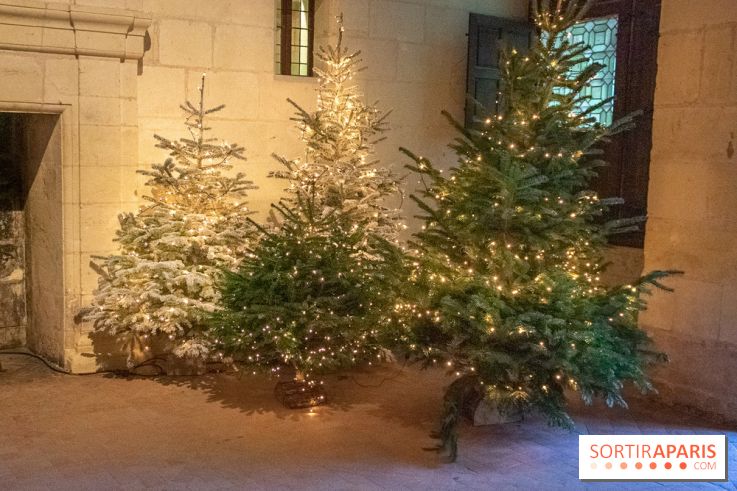 Noël 2018 au Château de Chambord