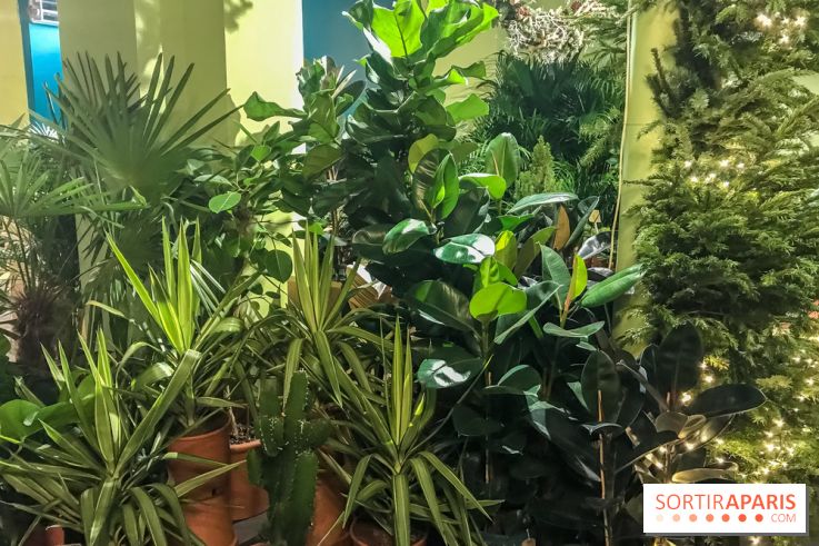 Bergamotte, le lieu de vie dédié au végétal