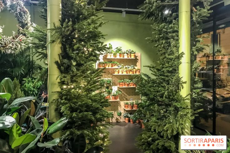 Bergamotte, le lieu de vie dédié au végétal