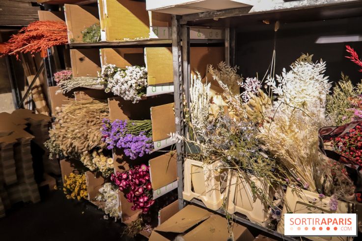 Bergamotte, le lieu de vie dédié au végétal