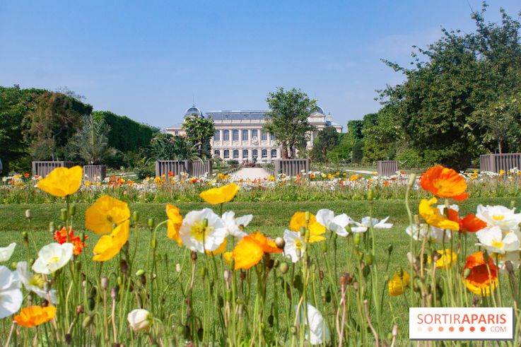Visuel jardin des plantes Paris