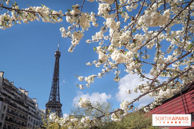 Visuel Paris, Tour Eiffel printemps