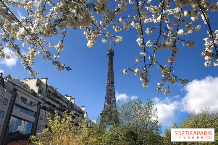 Visuel Paris, Tour Eiffel printemps