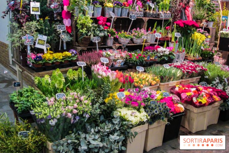 Visuel Paris marché d'Aligre fleurs