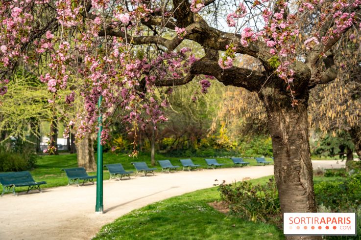 Visuel Paris arbres en fleurs, jardins, parc