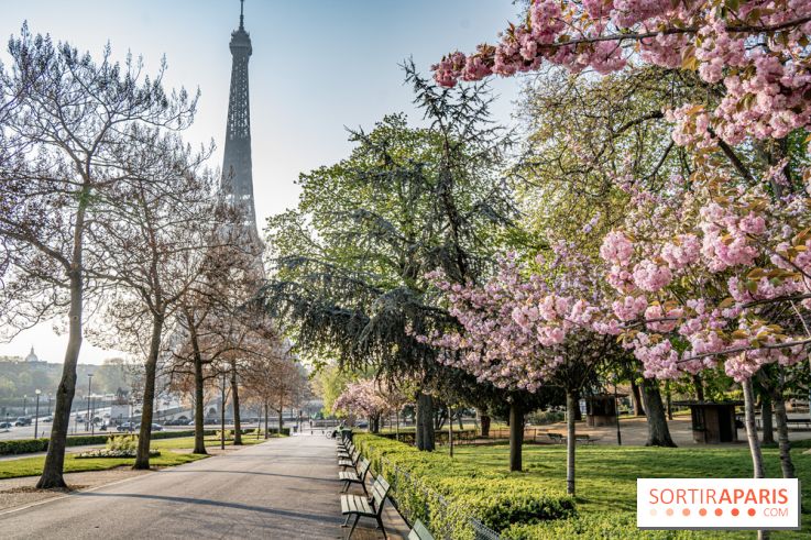 Visuel Paris Tour Eiffel cerisiers en fleurs