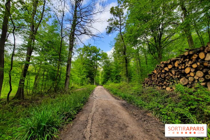 Visuel Paris balade forêt île de france
