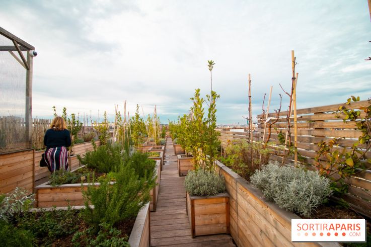 Brach Paris, l'hôtel signé Starck dans le 16e