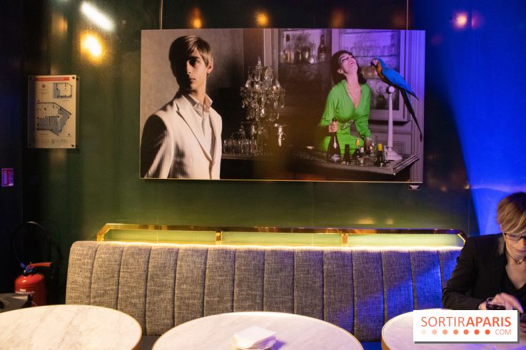 Plaisirs Évanouis, l'exposition au Nolinski