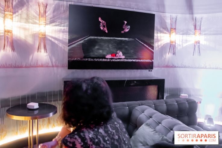 Plaisirs Évanouis, l'exposition au Nolinski