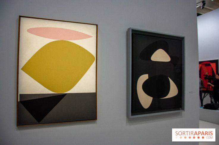 Exposition Vasarely Centre Pompidou, nos photos