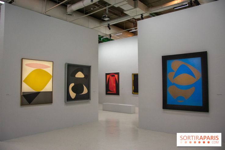 Exposition Vasarely Centre Pompidou, nos photos