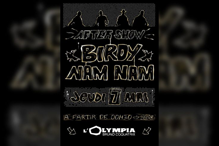 Soirée, Paris,Toxic, After Show, Birdy Nam Nam, BNN