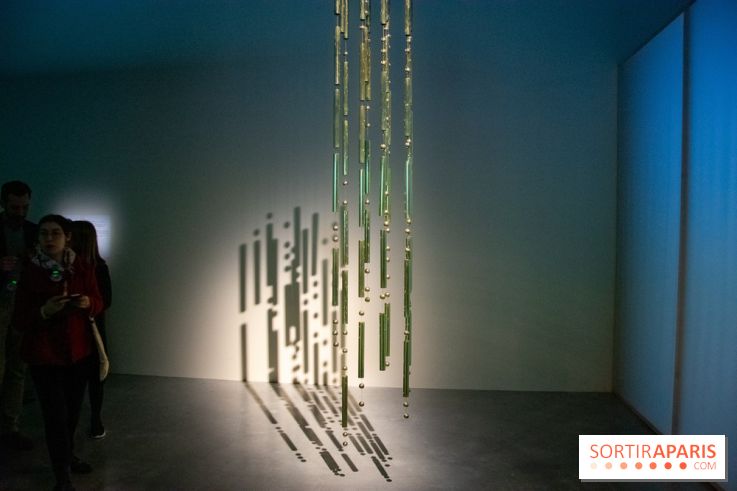 Saison Sensible au Palais de Tokyo