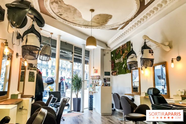 La coloration végétale chez Biocoiff'