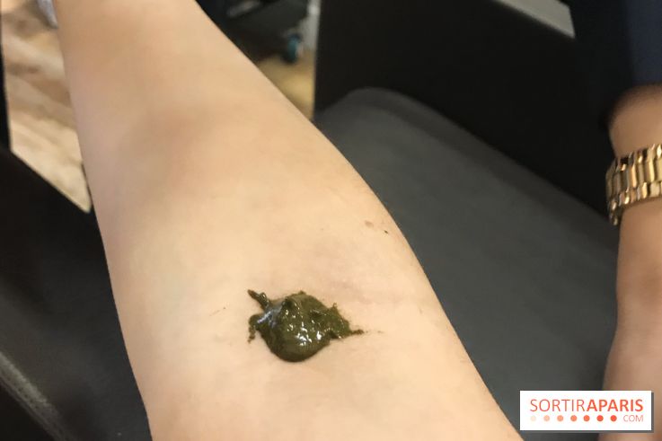 La coloration végétale chez Biocoiff'