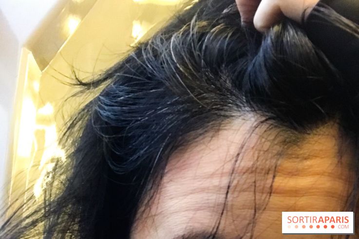 La coloration végétale chez Biocoiff'