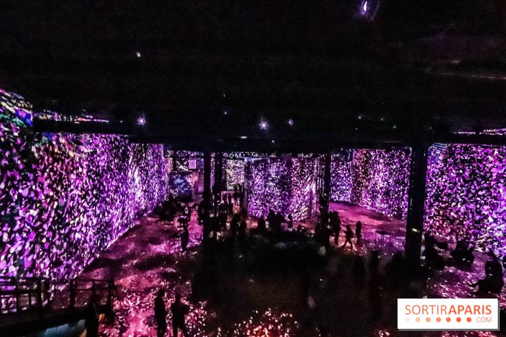 Japon rêvé, l'exposition immersive à l'Atelier des Lumières, les photos