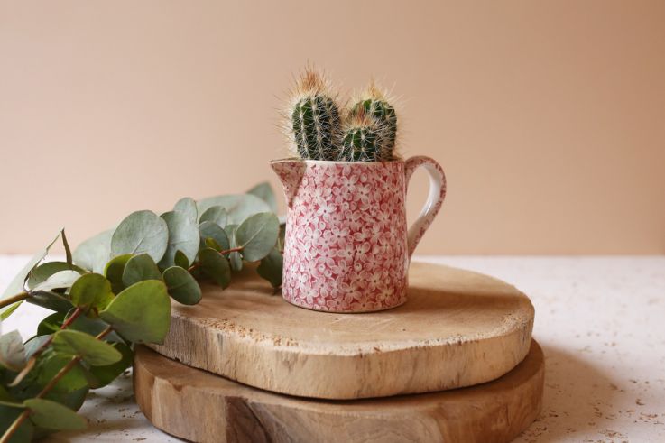 The Blond Cactus, quand le cactus passe en mode vintage