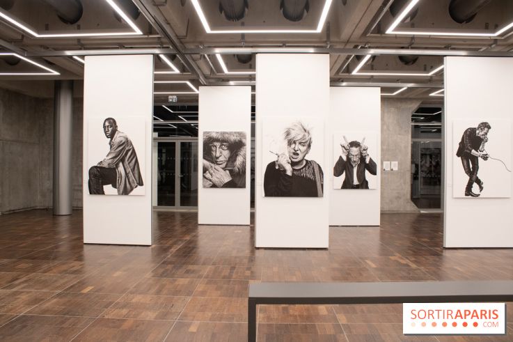 Stéphane de Bourgies, Quand le masque tombe