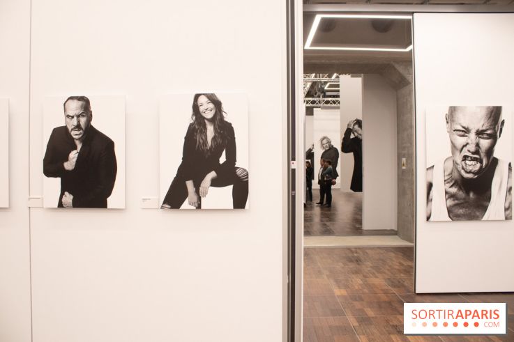 Stéphane de Bourgies, Quand le masque tombe