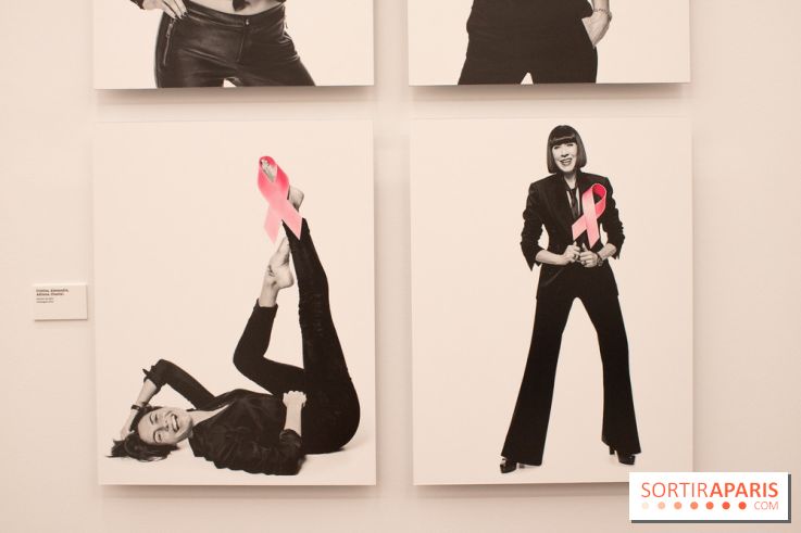 Stéphane de Bourgies, Quand le masque tombe