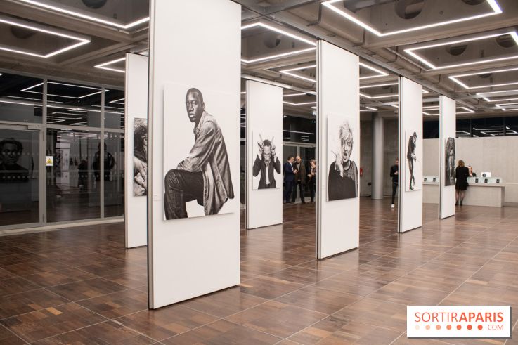 Stéphane de Bourgies, Quand le masque tombe