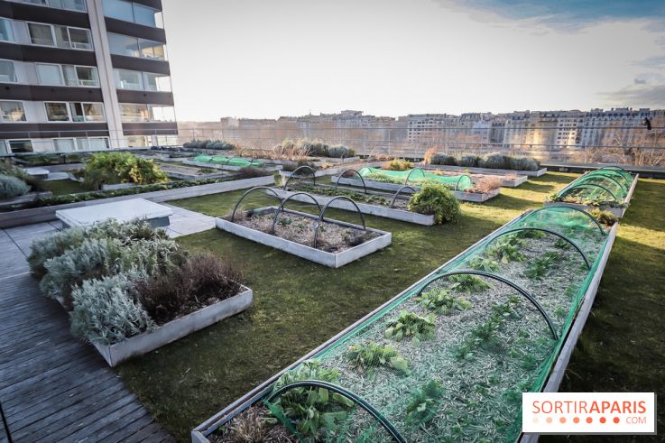 Le Cordon Bleu, cours de cuisine et nouveau café