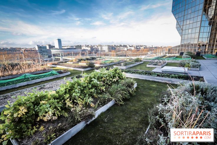 Le Cordon Bleu, cours de cuisine et nouveau café