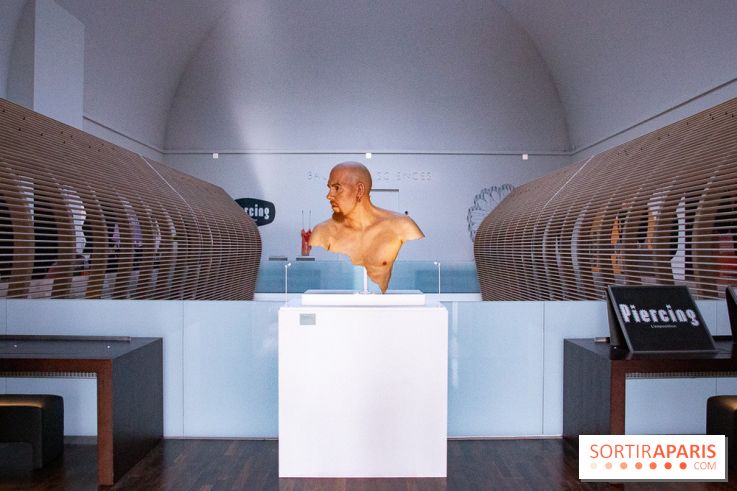 Piercing au Musée de l'Homme : nos photos
