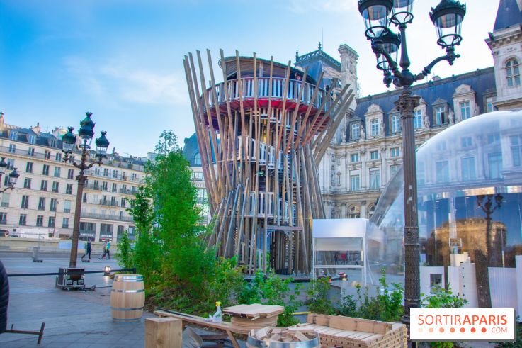 La forêt, une expérience à vivre sur le Parvis de l'Hôtel de Ville