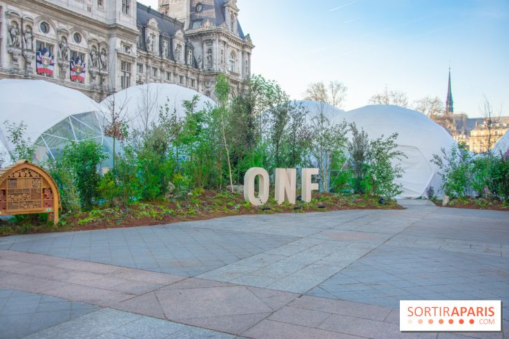 La forêt, une expérience à vivre sur le Parvis de l'Hôtel de Ville